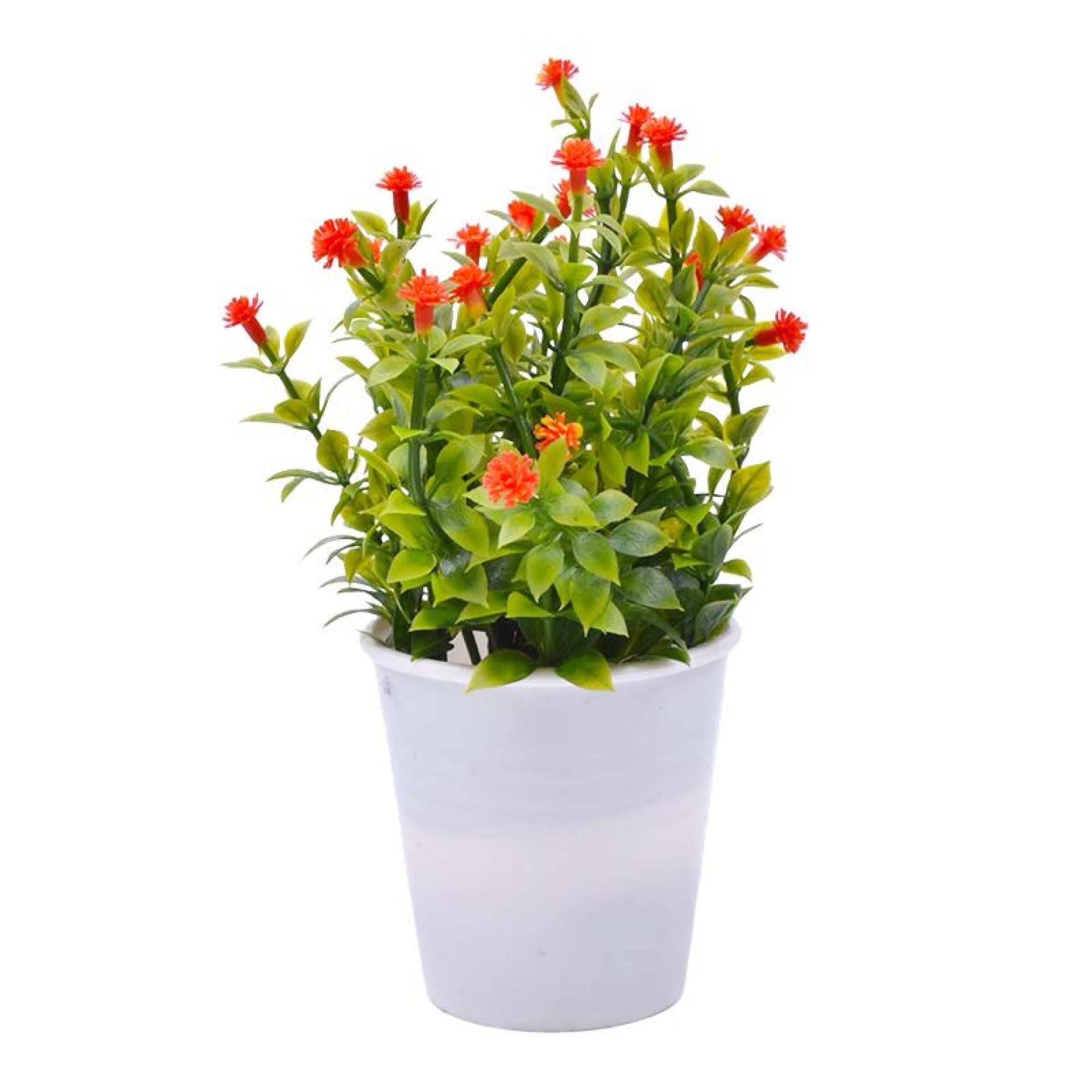 PLANTA C/ VASO 2647-004-01 CX144 PLANTA C/ VASO 2647-004-01 CX144