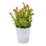 PLANTA C/ VASO 2647-004-01 CX144 PLANTA C/ VASO 2647-004-01 CX144