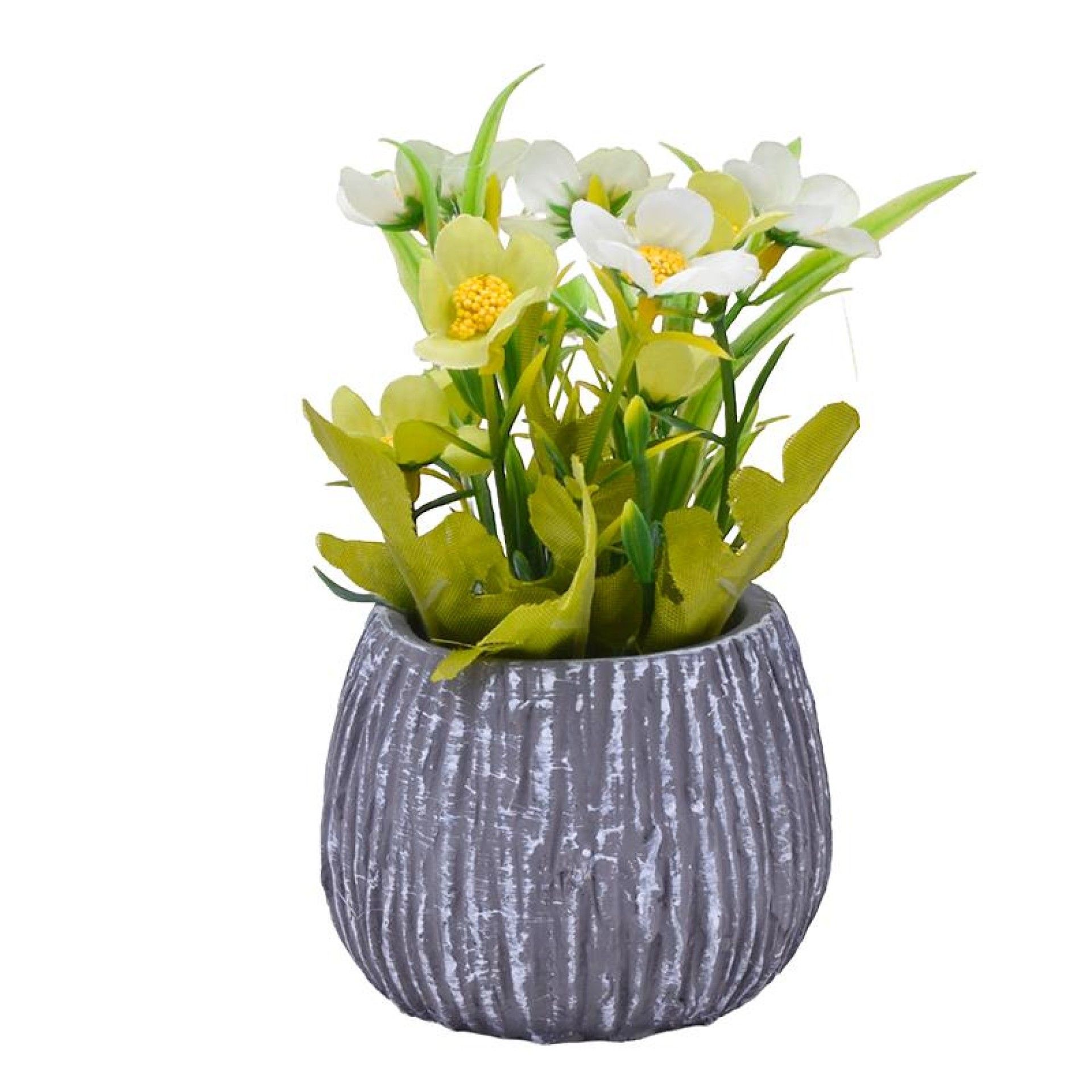 PLANTA C/ VASO 202-996 CX96 PLANTA C/ VASO 202-996 CX96