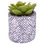 VASO C/CATO ARTIF. 202-912-02