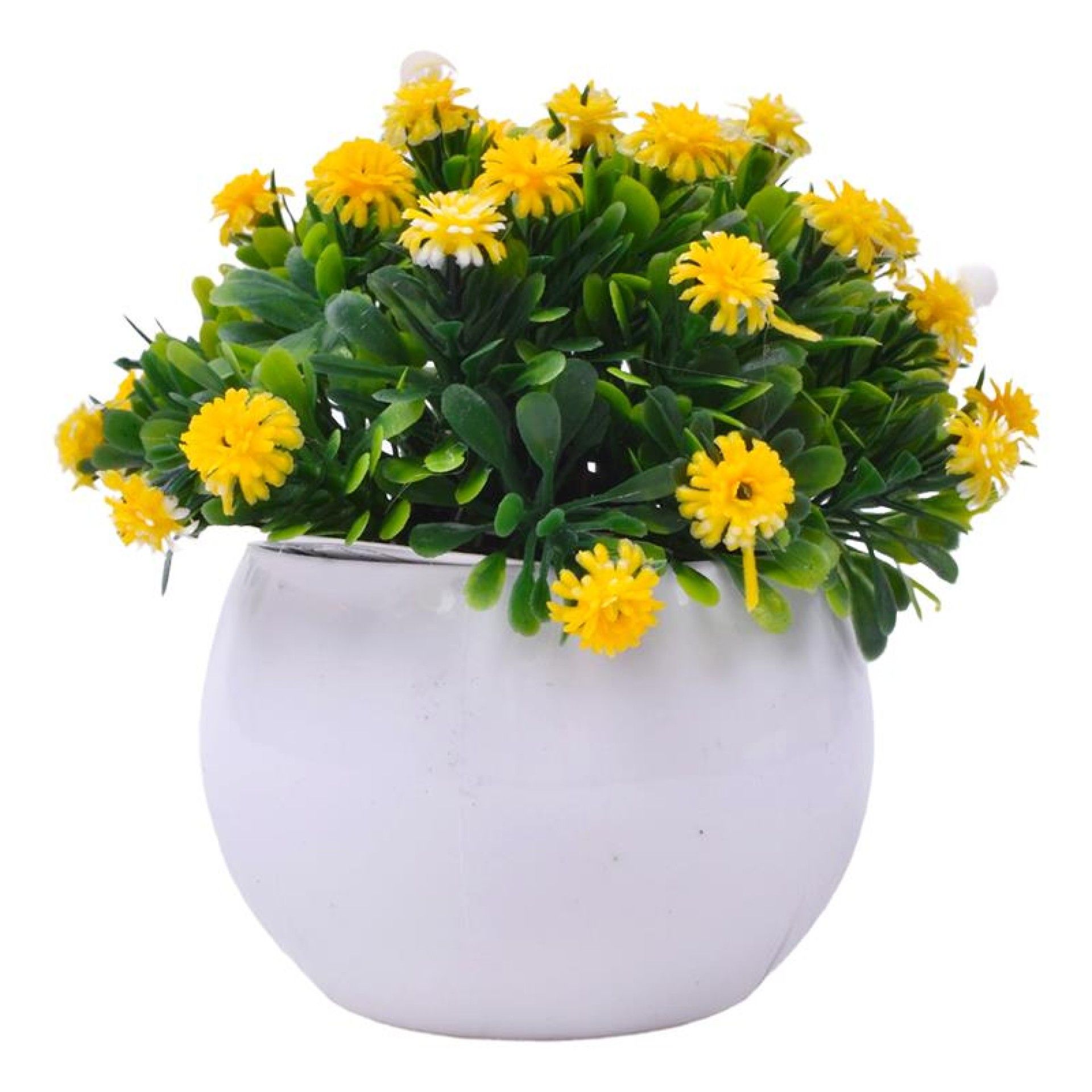 PLANTA C/ VASO 2440-019 CX144 PLANTA C/ VASO 2440-019 CX144