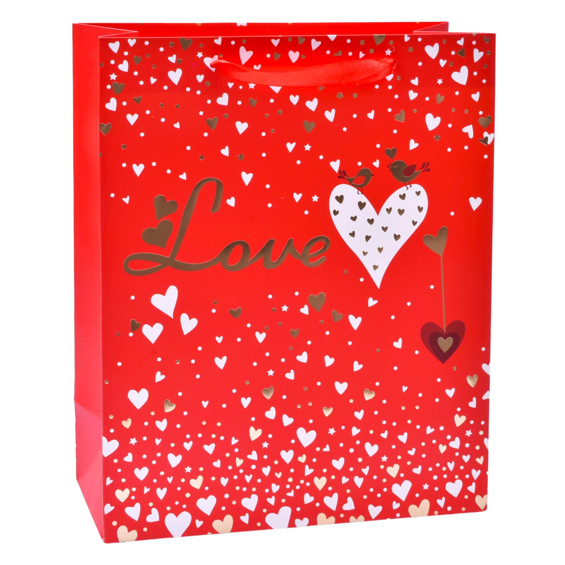 SACO 23X18X10CM 3025-000-01 CX360 SACO 23X18X10CM 3025-000-01 CX360