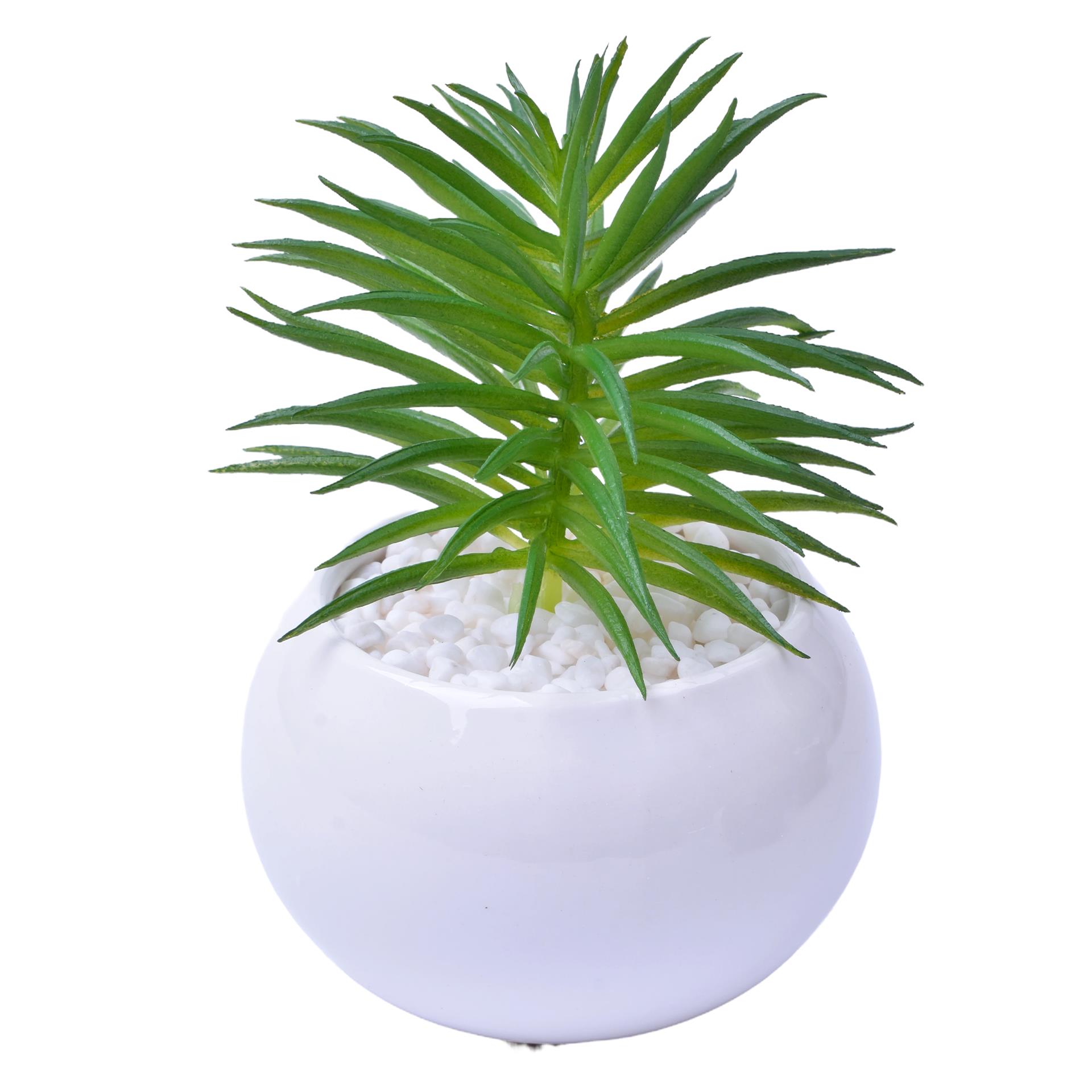 VASO C/CACTO 8,5X6 2070-42 CX48