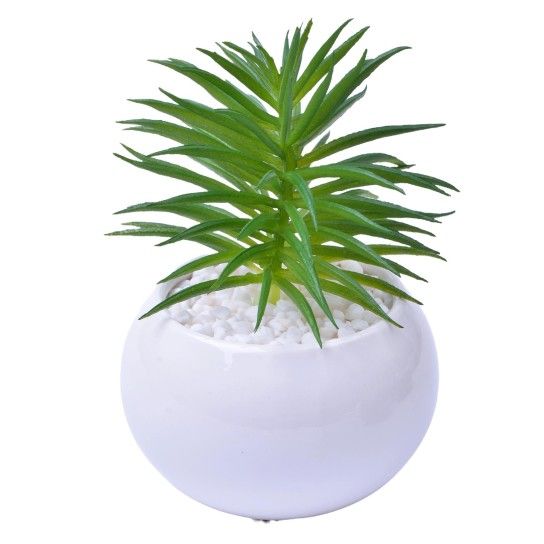 VASO C/CACTO 8,5X6 2070-42 CX48