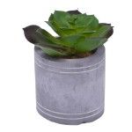 VASO C/CATO 6.3X6.3CM 2639-202 CX96 VASO C/CATO 6.3X6.3CM 2639-202 CX96