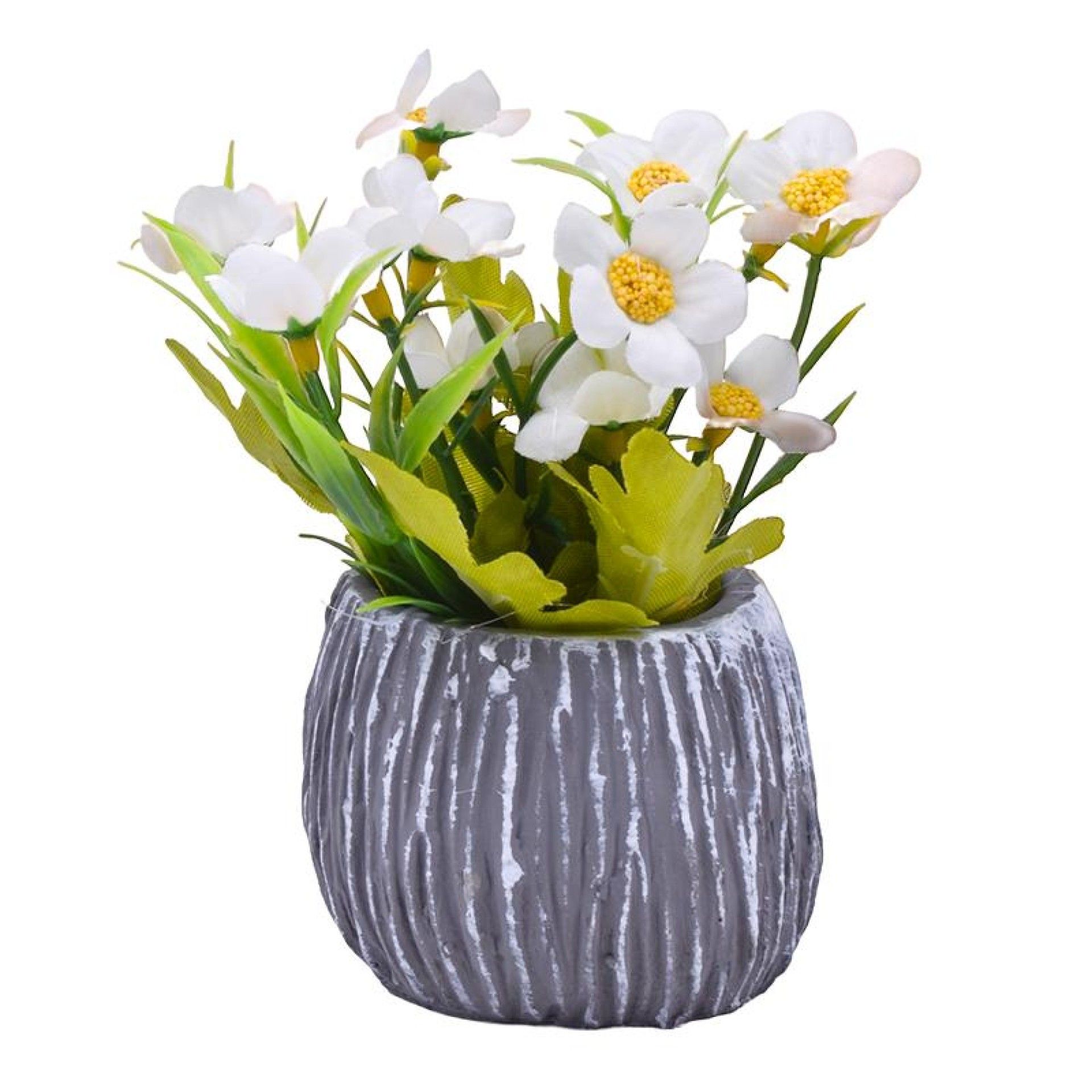 PLANTA C/ VASO 202-996 CX96 PLANTA C/ VASO 202-996 CX96