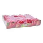 CAIXA PORTA TOMATE L-00396 CX48