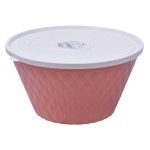 CAIXA REDONDA 4L 0303-230 CX24