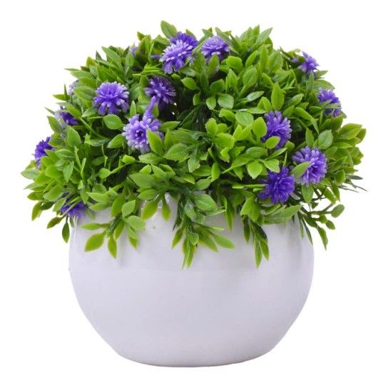 PLANTA C/ VASO 2440-020 CX144 PLANTA C/ VASO 2440-020 CX144