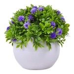 PLANTA C/ VASO 2440-020 CX144