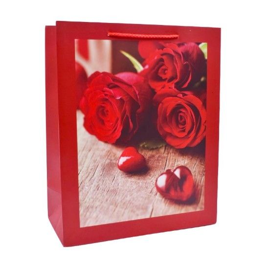 SACO 18X23X10CM 2419-505 CX360 SACO 18X23X10CM 2419-505 CX360