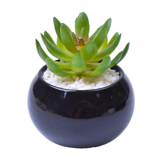 VASO C/CACTO 8,5X6 2070-42 CX48