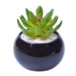 VASO C/CACTO 8,5X6 2070-42 CX48
