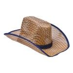 CHAPEU 39X34X13CM 203-145 CX240