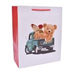 SACO 26x32x12CM 2419-506-01 CX240