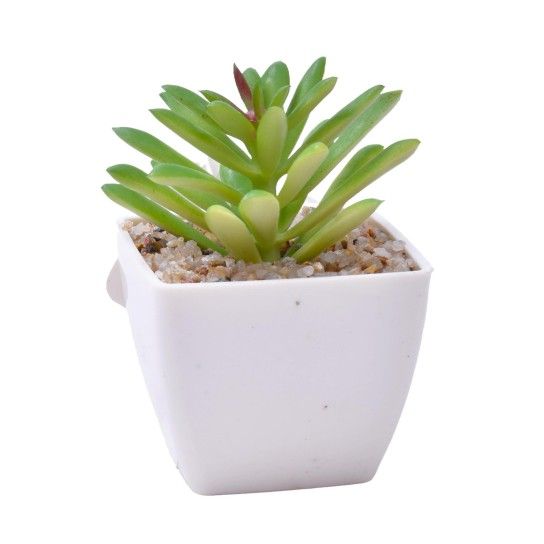 PLANTA C/VASO 6X6X5CM 2884-007-02 CX192 PLANTA C/VASO 6X6X5CM 2884-007-02 CX192