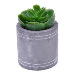 VASO C/CATO 6.3X6.3CM 2639-202 CX96 VASO C/CATO 6.3X6.3CM 2639-202 CX96