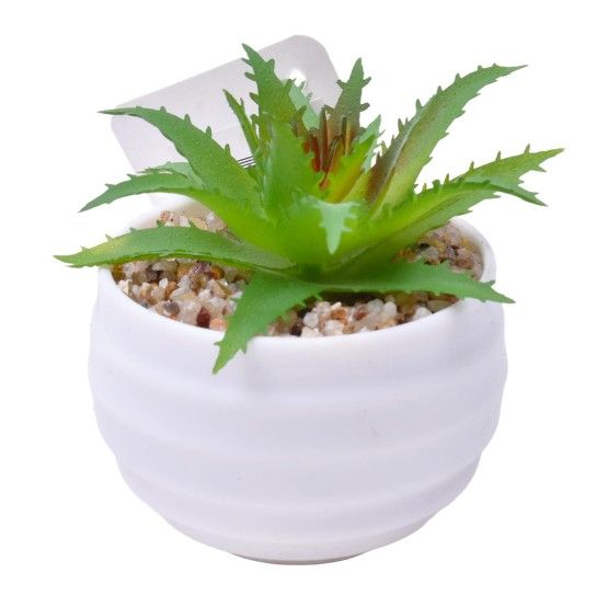 PLANTA C/VASO 6X4,5CM 2884-007-01 CX192