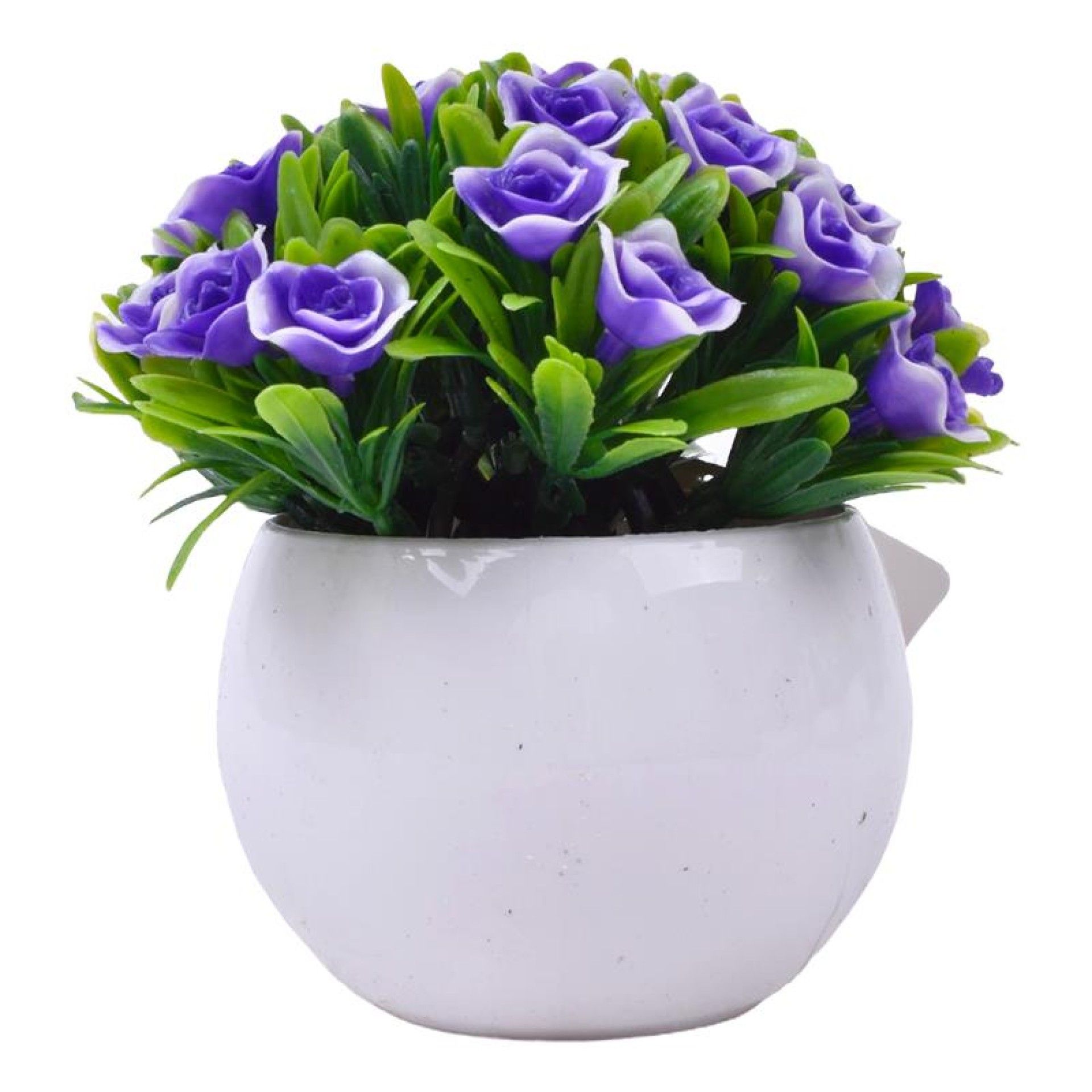 PLANTA C/ VASO 2440-022 CX144 PLANTA C/ VASO 2440-022 CX144