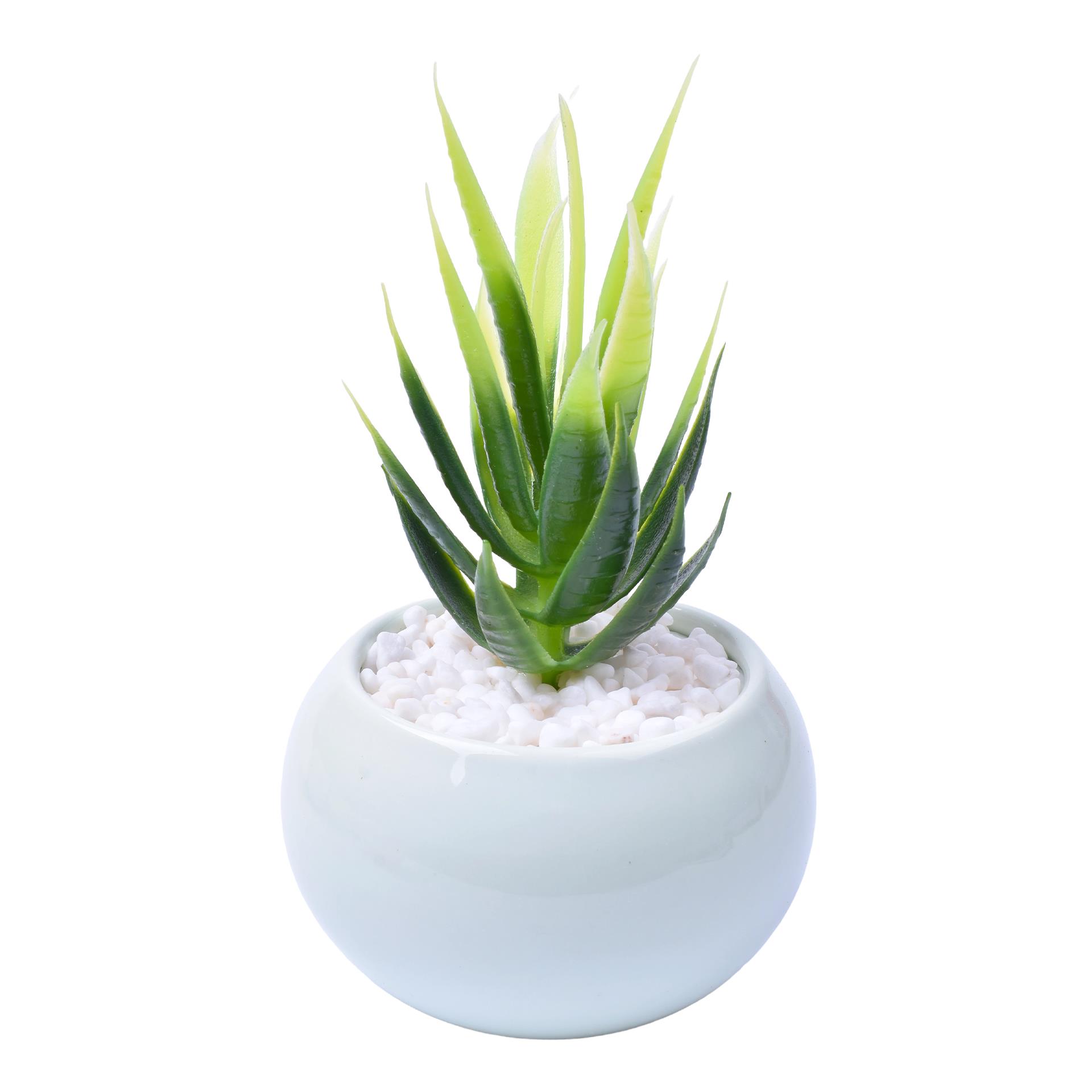 VASO C/CACTO 2070-42-01 CX48 VASO C/CACTO 2070-42-01 CX48