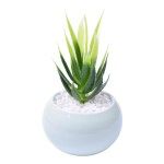 VASO C/CACTO 2070-42-01 CX48
