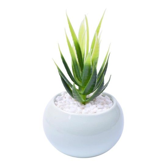 VASO C/CACTO 2070-42-01 CX48 VASO C/CACTO 2070-42-01 CX48