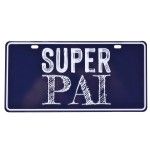 PLACA METAL PAI 15X30  207-106-P CX96