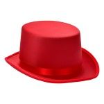 CHAPEU CARN. 30X26X12 3026-201 CX120