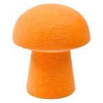 COGUMELOS PASC 15X17.5 0237-10 CX100