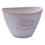 VASO PLT OVAL24,5X17,5CM 0428-07B CX36 VASO PLT OVAL24,5X17,5CM 0428-07B CX36
