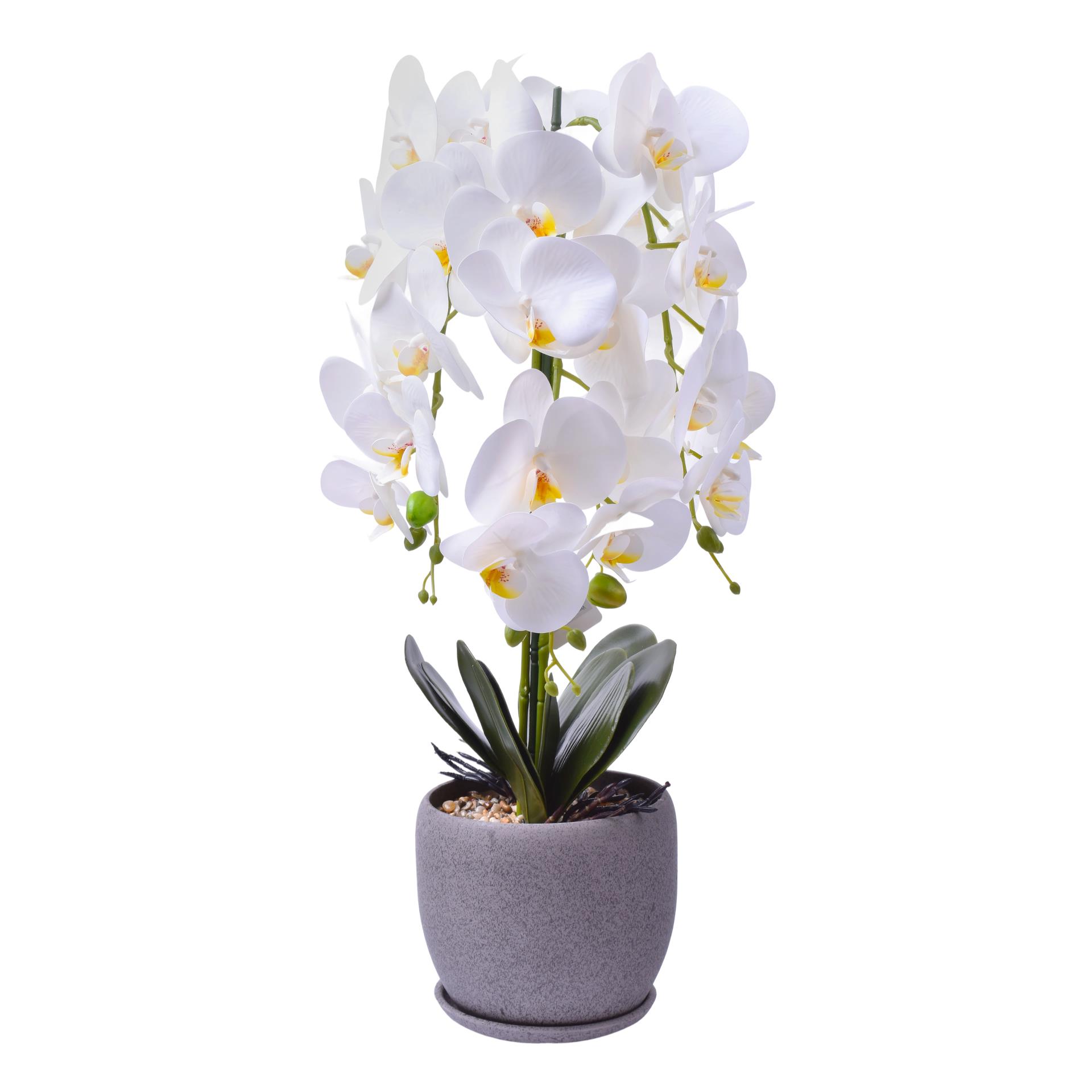 VASO C/ FLOR 2439-054 CX8 VASO C/ FLOR 2439-054 CX8