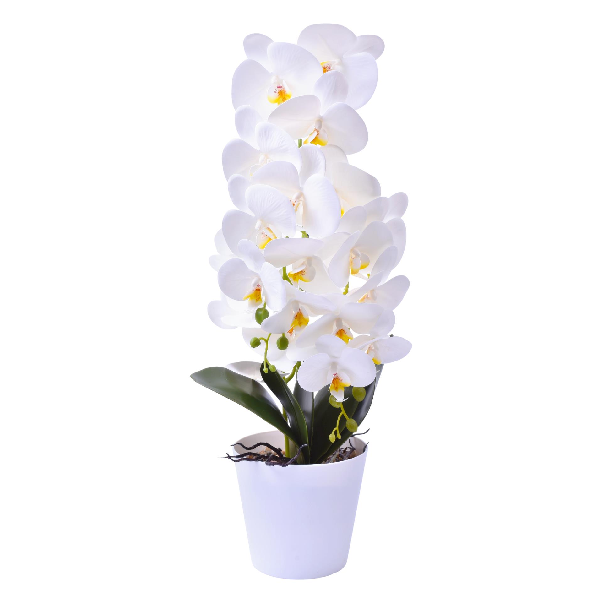 VASO C/ FLOR 2439-051 CX12 VASO C/ FLOR 2439-051 CX12