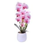 VASO C/ FLOR 2439-056 CX12
