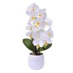 VASO C/ FLOR 2439-056 CX12