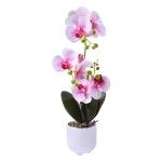 VASO C/FLOR 2439-050 CX24 VASO C/FLOR 2439-050 CX24