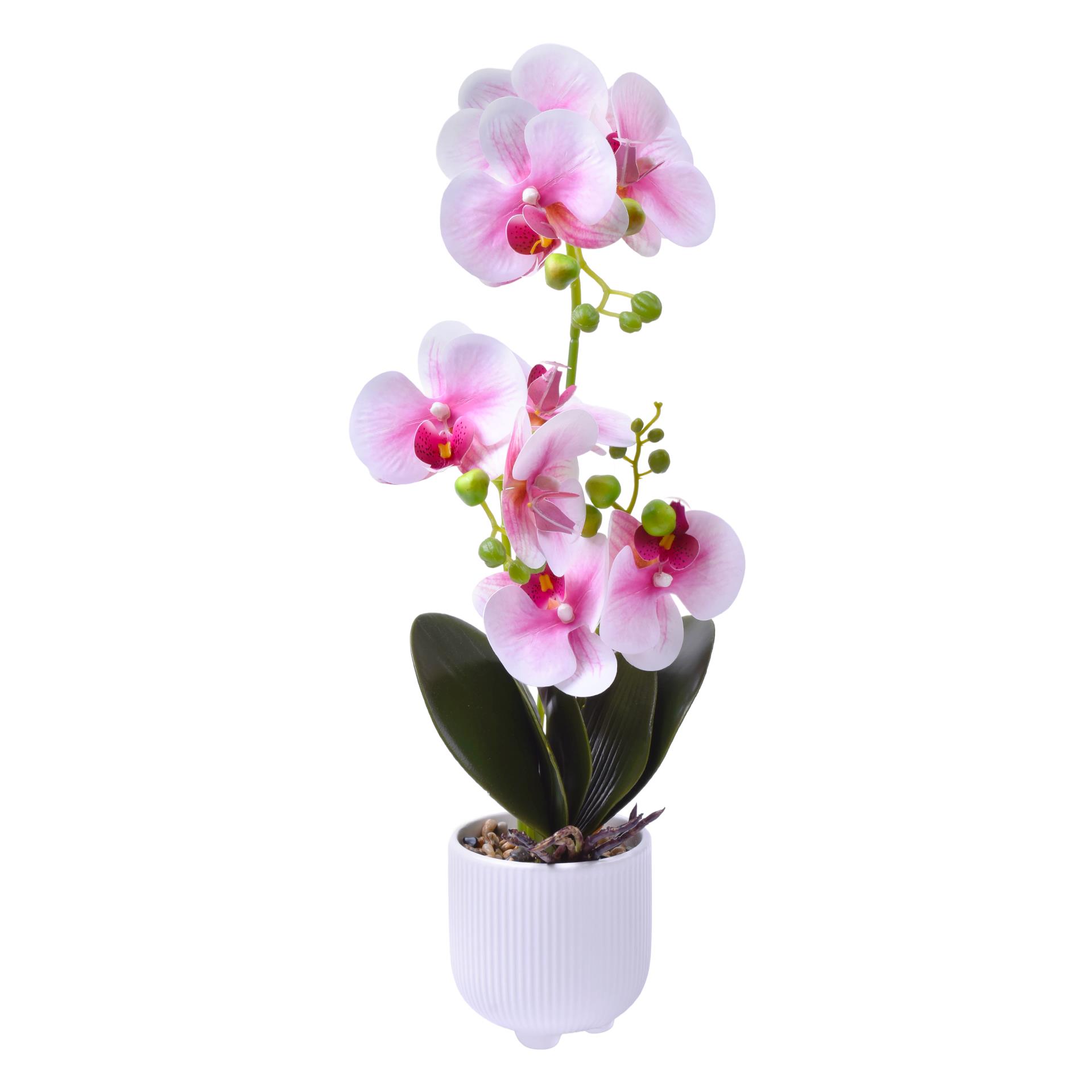 VASO C/FLOR 2439-050 CX24 VASO C/FLOR 2439-050 CX24
