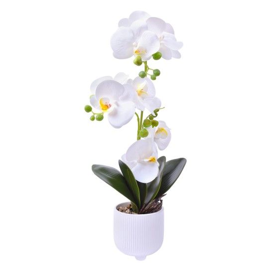 VASO C/FLOR 2439-050 CX24 VASO C/FLOR 2439-050 CX24