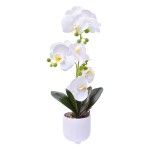 VASO C/FLOR 2439-050 CX24 VASO C/FLOR 2439-050 CX24