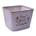 VASO PLT OVAL 19X19X14,5 0428-08A CX36 VASO PLT OVAL 19X19X14,5 0428-08A CX36