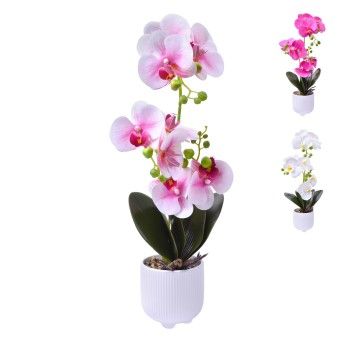 VASO C/FLOR 2439-050 CX24 VASO C/FLOR 2439-050 CX24