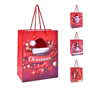 SACO PAPEL 23X18X10CM 2994-021 CX360