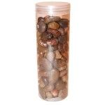 PEDRAS DECORATIVAS 500GR- 2490-050 CX36 PEDRAS DECORATIVAS 500GR- 2490-050 CX36