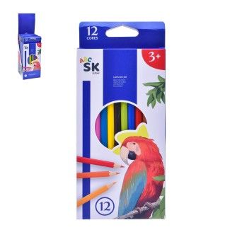 LAPIS DE COR 12UN 1698-100-12 LAPIS DE COR 12UN 1698-100-12