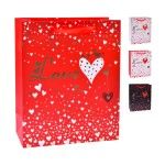 SACO 23X18X10CM 3025-000-01 CX360