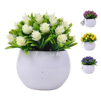 PLANTA C/ VASO 2440-023 CX144