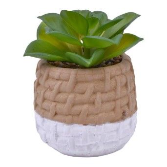 VASO CIMENTO C/PLANTA 2437-013 CX24