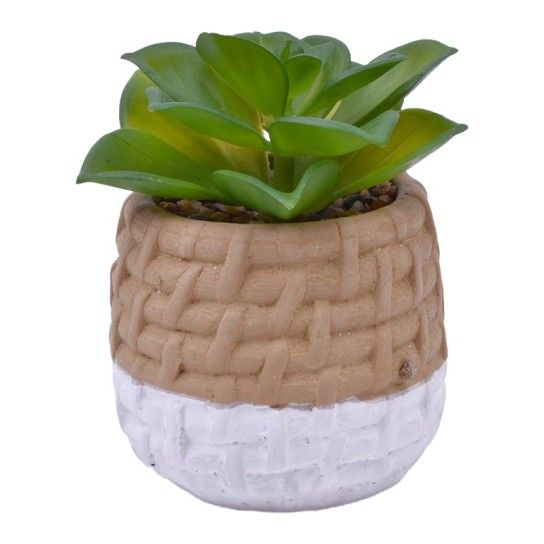 VASO CIMENTO C/PLANTA 2437-013 CX24