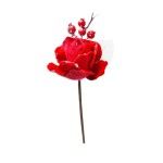 FLOR NATAL 306122769 LUNA