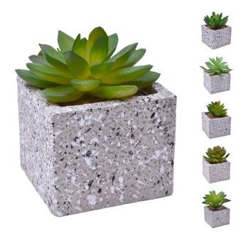 VASO C/CATO 6.4X6.3X5.2CM 2639-205 CX96