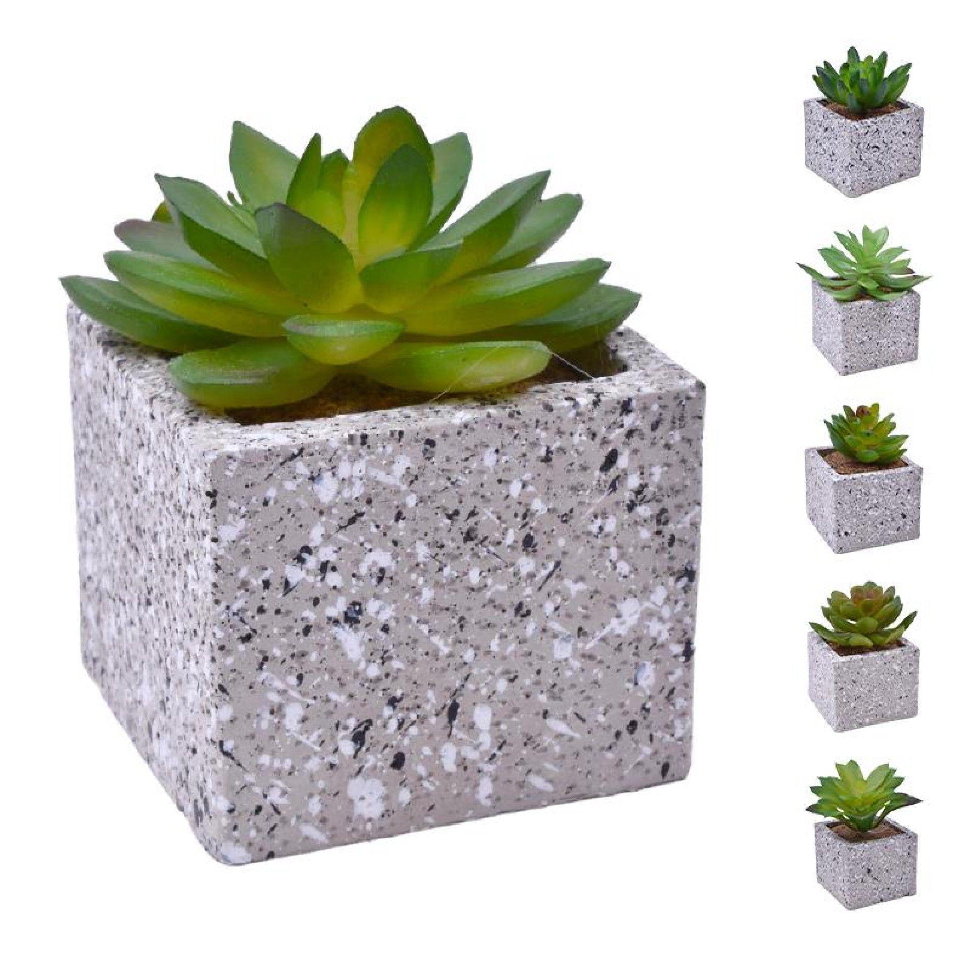 VASO C/CATO 6.4X6.3X5.2CM 2639-205 CX96 VASO C/CATO 6.4X6.3X5.2CM 2639-205 CX96